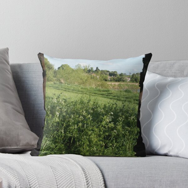 Framed Throw Pillow