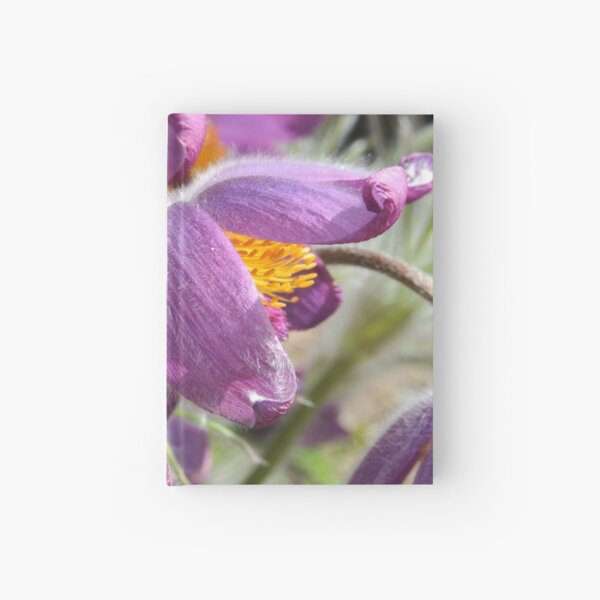 Hardcover Journal