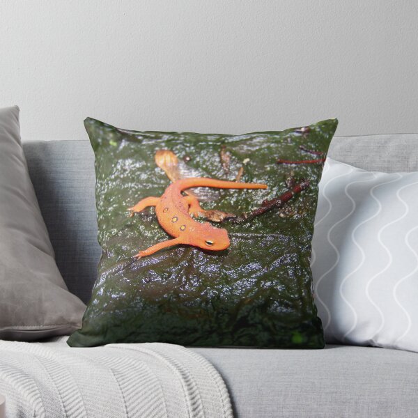 Item preview, Red Eft designed and sold by Dandelion Dilluvio.