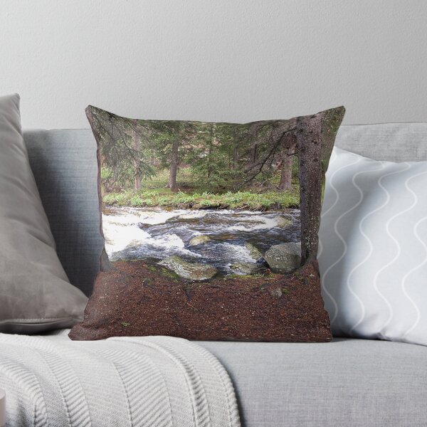 Beside the Clear Creek Throw Pillow