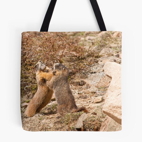 Item preview, Chompers designed and sold by Jay Ryser.