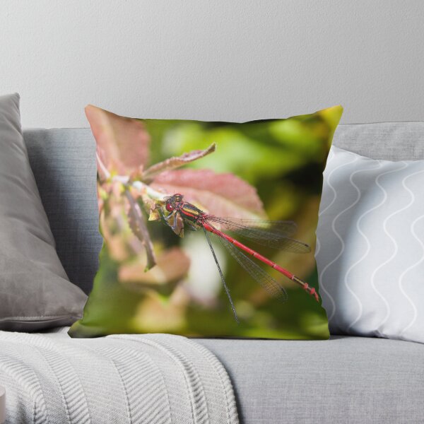 Large Red Damselfly (Pyrrhosoma nymphula) Throw Pillow