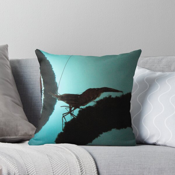 Item preview, Camarón designed and sold by BLAMB.