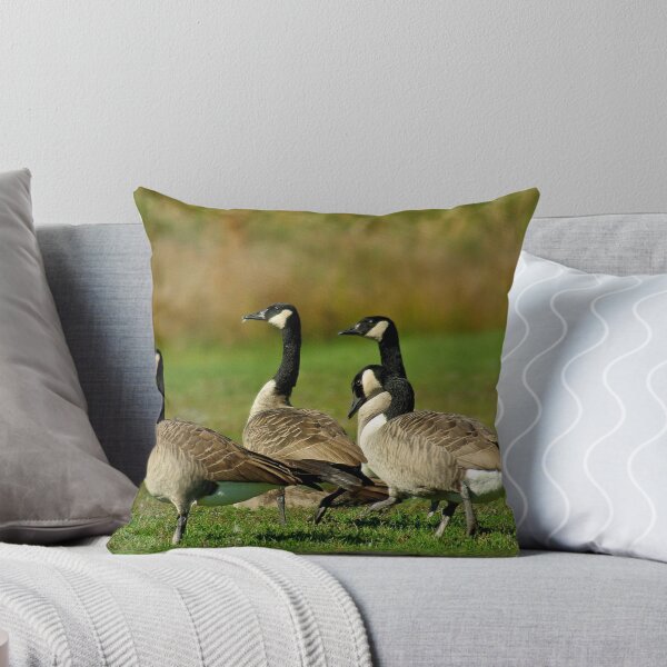 Item preview, Canadian Geese designed and sold by kittyrodehorst.