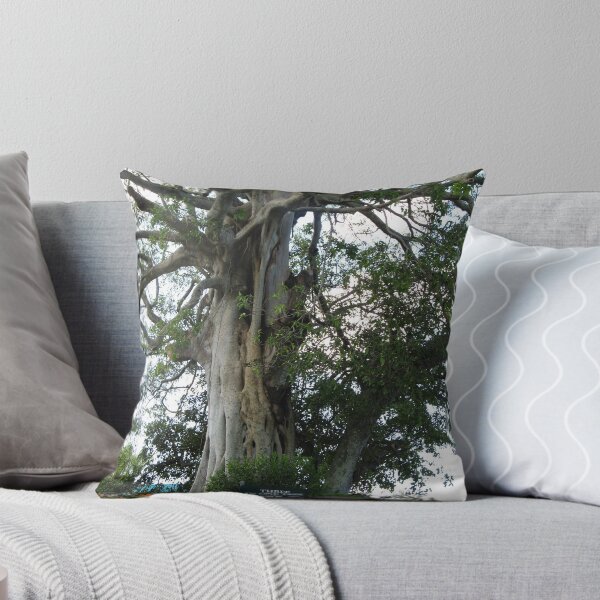 Item preview,  Avenida Poinciana hay este árbol más maravilloso. Consiste en un higo de Morton Bay designed and sold by rudledge.