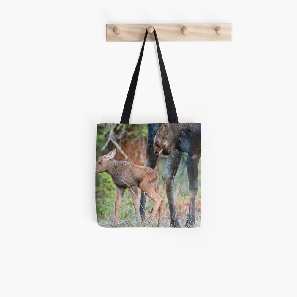 Moose Cow, Days Old Calf, Looking Good Tote Bag