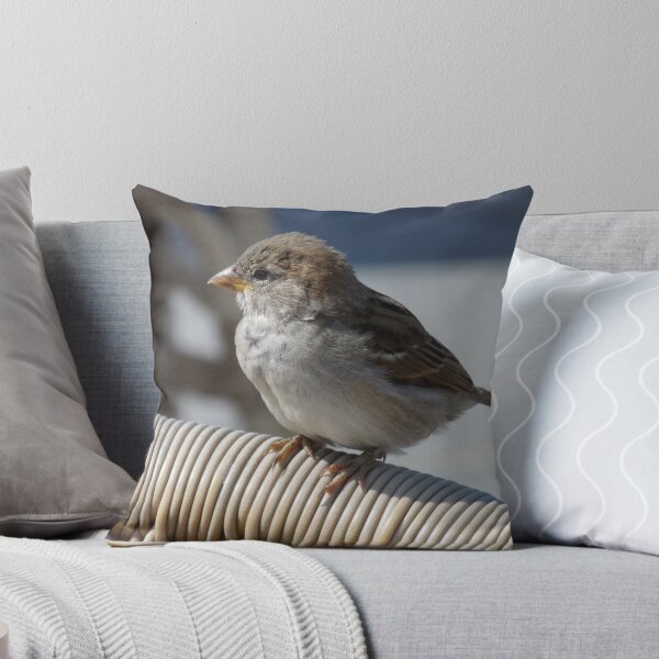 Item preview, House Sparrow no. 2  designed and sold by DutchLumix.