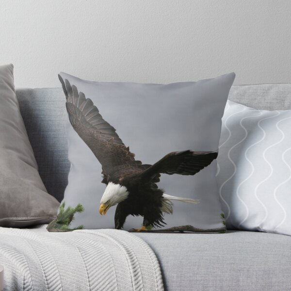 A Question Of Balance Throw Pillow