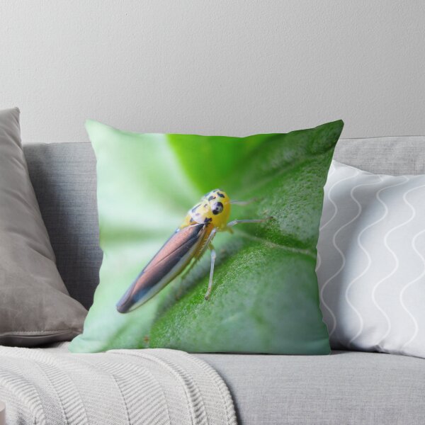 Item preview, Yellow & Black Leafhopper designed and sold by Vanessa Barklay.