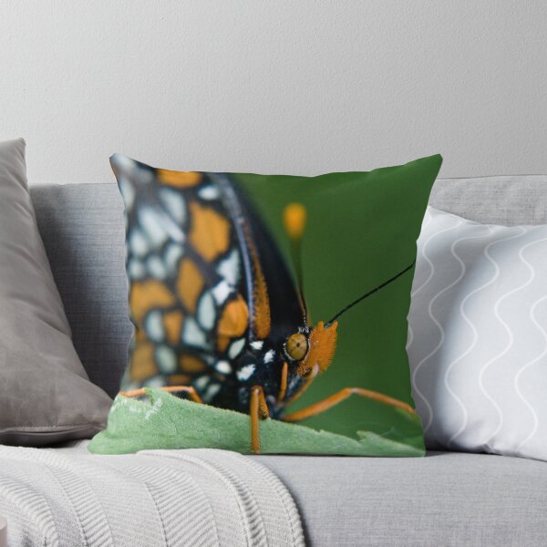 Item preview, halloween butterfly (Baltimore Checkerspot) designed and sold by jude walton.