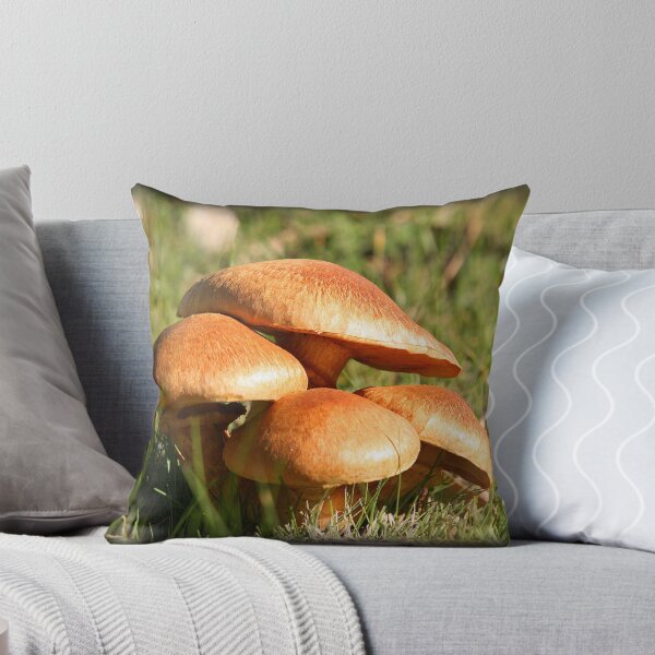 Item preview, Lovely day to go out! designed and sold by Nick Hunt.