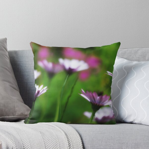 Item preview, Osteospermum designed and sold by muddy250.