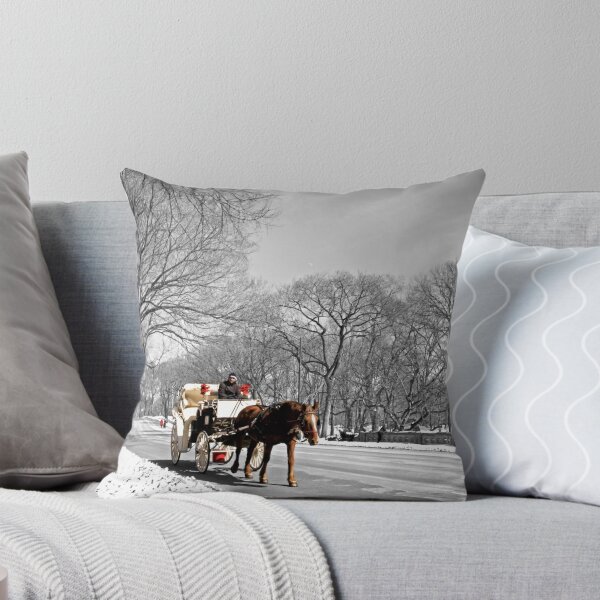 Item preview, Central Park, Handsome cab ride. designed and sold by Melissa Chinn.