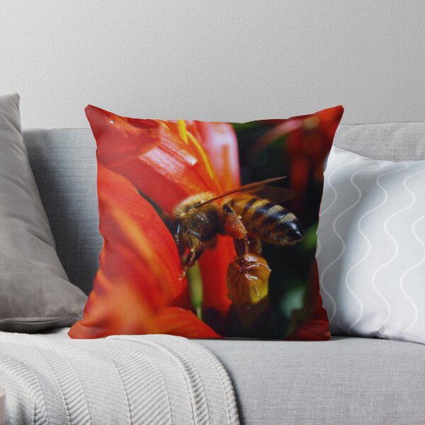 I Know Its In There Somewhere! Throw Pillow