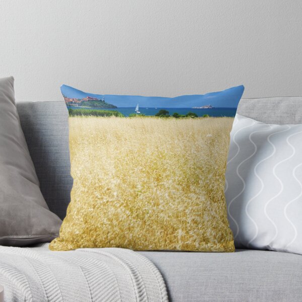 Item preview, Elba island - Italy designed and sold by gluca.