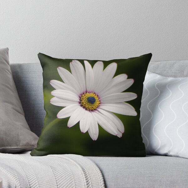 Item preview, Simply Dazed designed and sold by Kory Trapane.