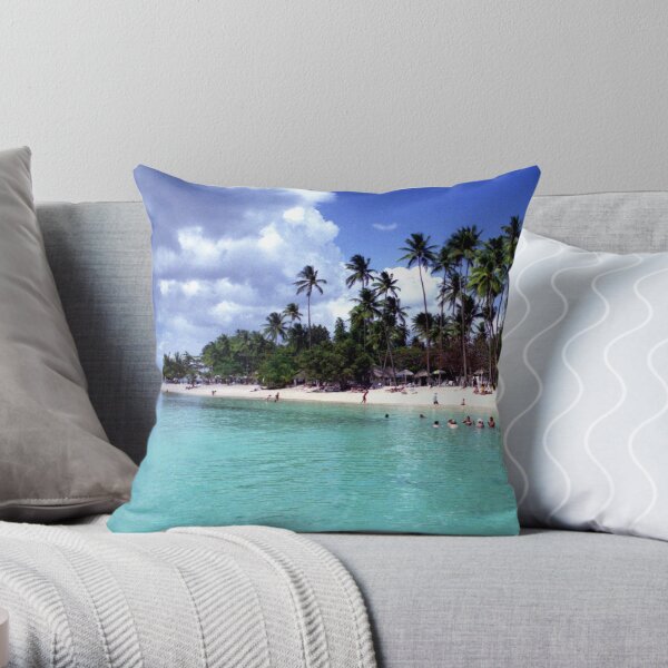 Pigeon Point Throw Pillow