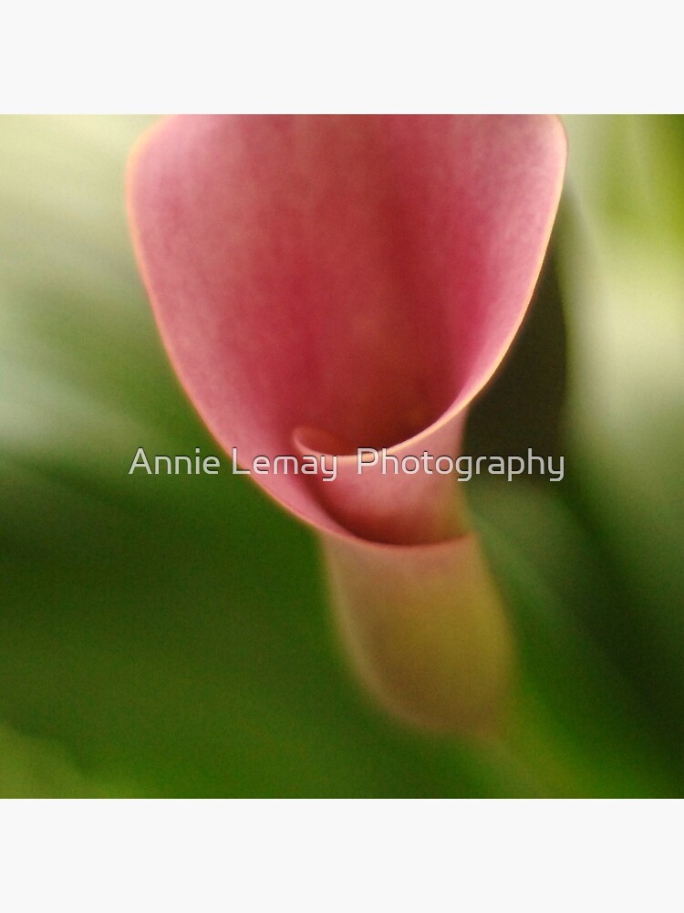 Growing Up by ajlphotography