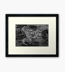 Tricycle? Framed Print