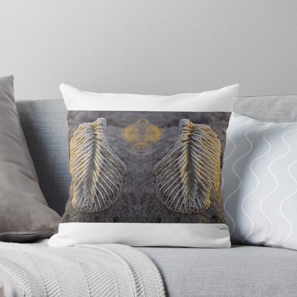 Item preview, 'Angels Wings' • Makawayan, Philippines designed and sold by PETER CULLEY.