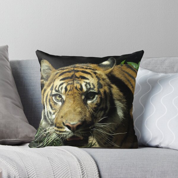 Item preview, Tiger designed and sold by Jesper Høgsdal.