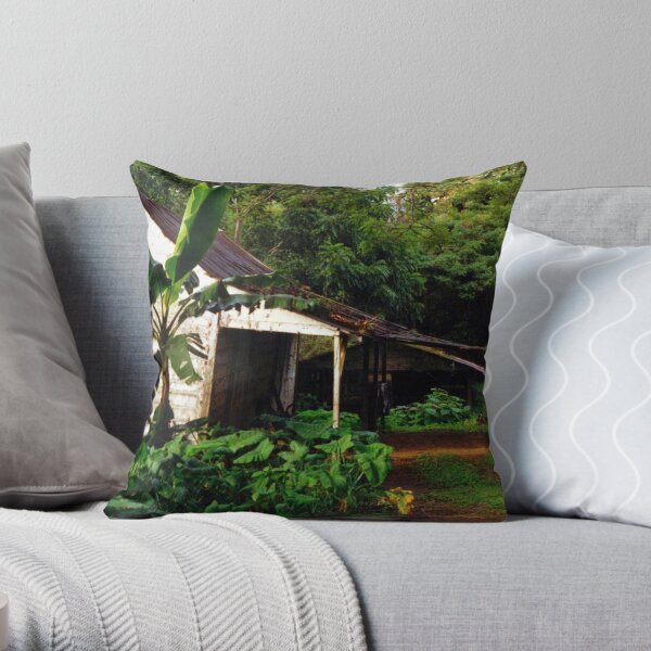 An Old Shack in the Country Throw Pillow