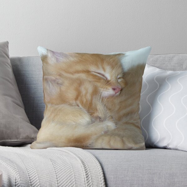 Kitten Hugs Throw Pillow