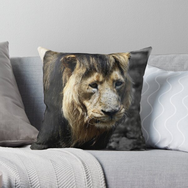 Ashok the Asiatic Lion Throw Pillow