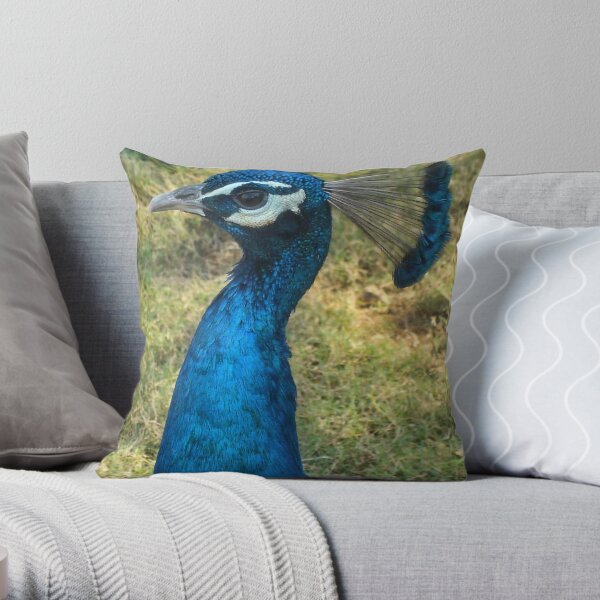 Vibrance:: shot some time back with my 5 MP Sony Cybershot Throw Pillow