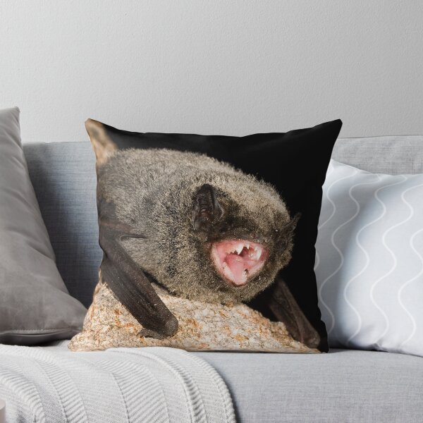 Item preview, Hoary Wattled Bat designed and sold by Henry  Cook.