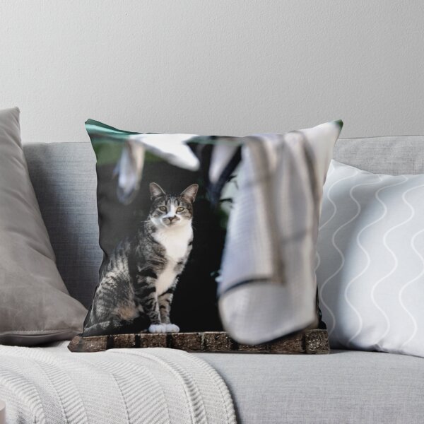 Item preview, The cat and the tea towel designed and sold by scottsphotos.