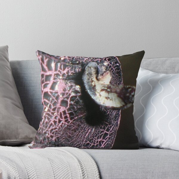 Item preview, Cork designed and sold by Alice Oates.