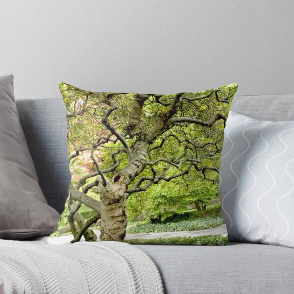 Aperçu de l'œuvre Squiggly Tree créée et vendue par Allison Dougherty.