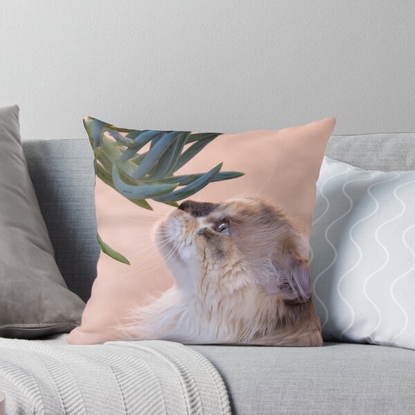 Item preview, Stop and smell.. the succulent? designed and sold by Kimberly Palmer.