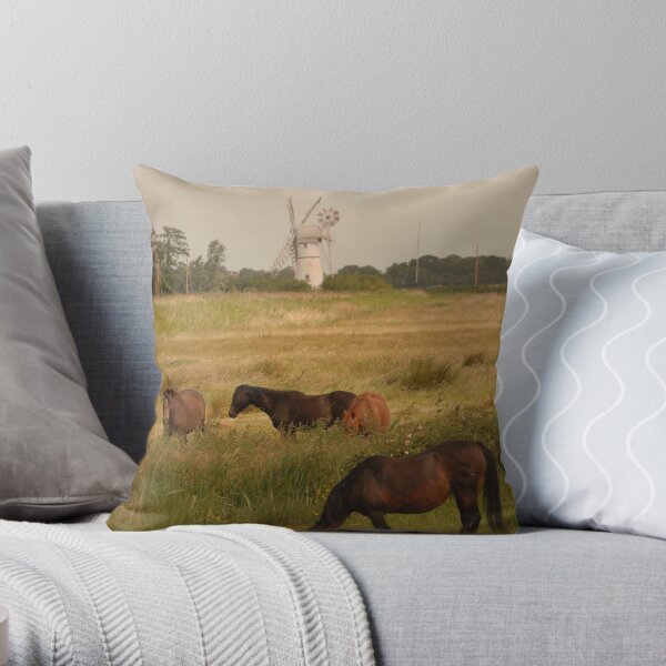 Old Master in Norfolk Throw Pillow