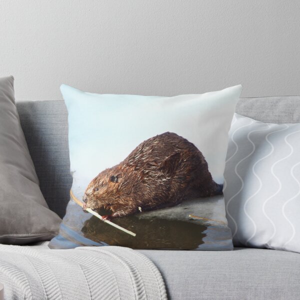 Item preview, Beaver designed and sold by Toua Lee.
