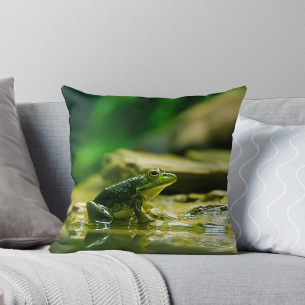 Item preview, Frog designed and sold by Modified.