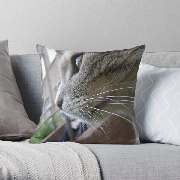 Earl's Patch Throw Pillow