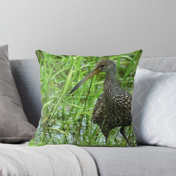 Item preview, Limpkin in the grass designed and sold by Larry  Grayam.