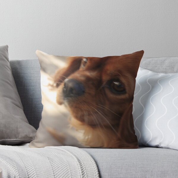 Item preview, Looking At You - Love Me - CU designed and sold by tmac.