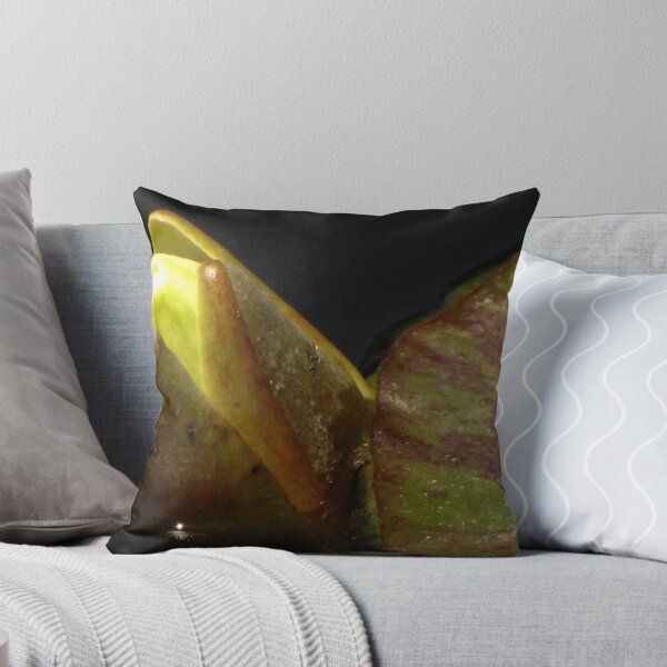 Item preview, Let there be light designed and sold by Gili Orr.