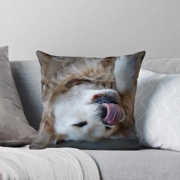 Item preview, l hate it when she gets new toys!!! designed and sold by Sue Wilson (Kane).