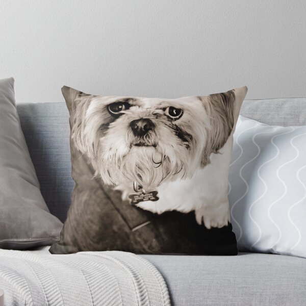 Item preview, My Harry designed and sold by Pat Shawyer.