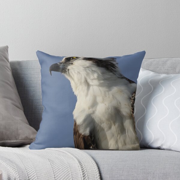 Item preview, Focused Osprey designed and sold by WorldDesign.
