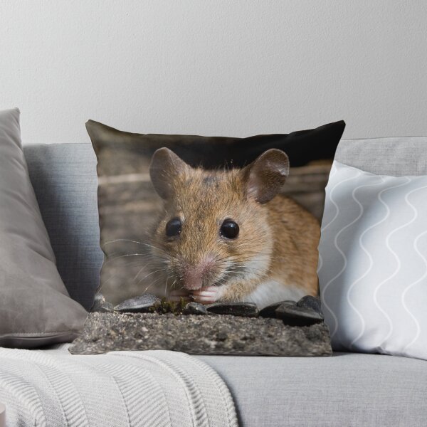 Item preview, The eyes have it designed and sold by dsargent.