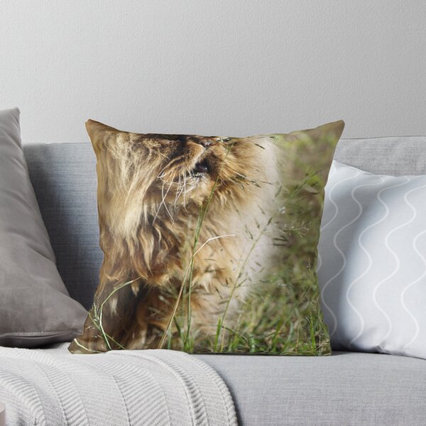 Item preview, "Trust Me  designed and sold by Kylie Van Ingen.