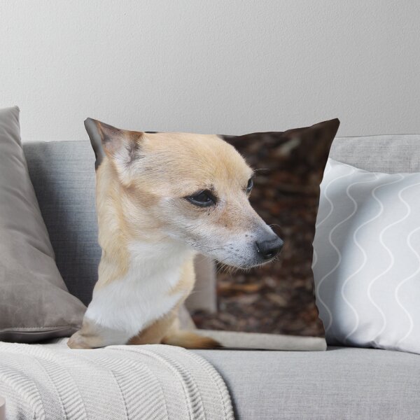 Item preview, Mr Beej designed and sold by Megs D.