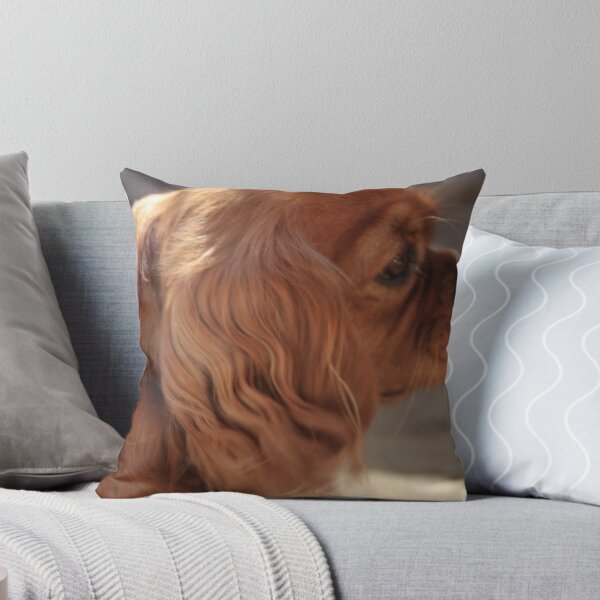 Item preview, Looking Right Out designed and sold by tmac.