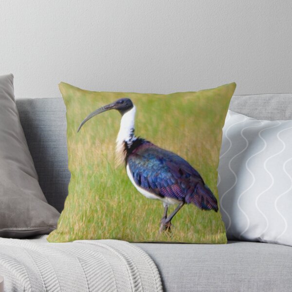 Item preview, Straw-Necked Ibis designed and sold by Clive.