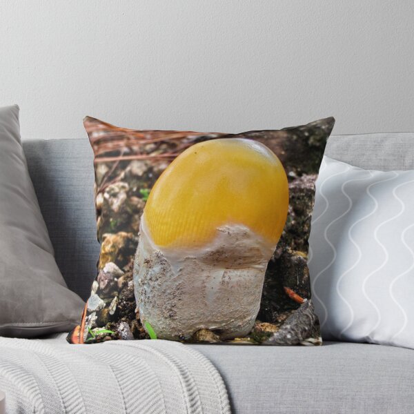 Item preview, 'Egg yolk' fungi, Thailand designed and sold by John Spies.